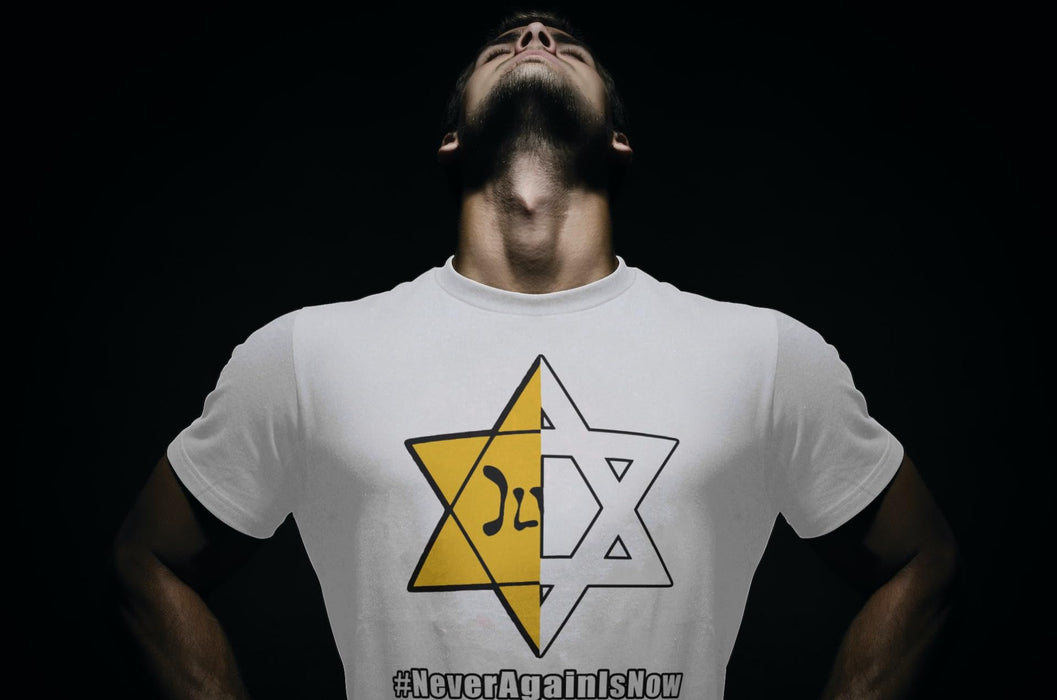 LuxProdX Never Again is Now Jewish Israel Pride Am Yisrael Chai Sweatshirt/Hoodie #neveragainisnow Support IDF (US, Alpha, Large, Regular, Regular, White)