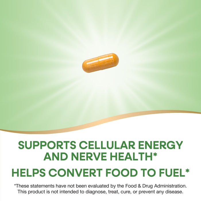 Nature's Way B-100 Complex, Supports Cellular Energy and Nerve Health*, 8 B-Vitamins, 100 Capsules (Packaging May Vary)