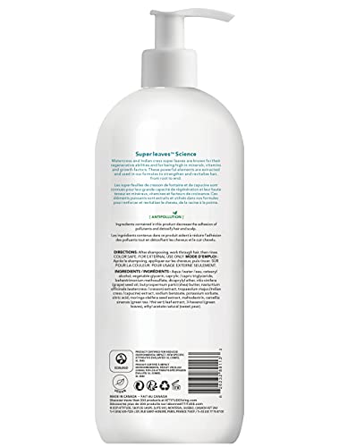 ATTITUDE Hair Conditioner, Plant and Mineral-Based Ingredients, Vegan and Cruelty-free Beauty and Personal Care Products, Nourishing & Strenghtening, Grapeseed Oil & Olive Leaves, 32 Fl Oz