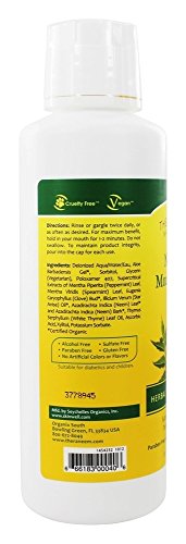 Theraneem Organix Herbal Neem Mouthwash,Mint Therape 16 Ounce (Pack of 2)