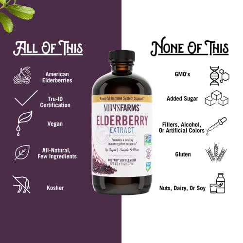 Norm’s Farms American Elderberry Extract - Pure Concentrate for Immune Support Made with Berries - Vegan, Gluten Free, Non-GMO - 2 8 Oz. Bottles